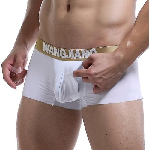 Open Front Sexy Mens Underwear Boxers Wangjiang Transparent Boxer Shorts Men Crotch Hole Male Underpants Slip Homme Ice Silk
