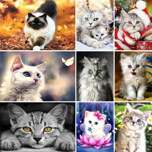 5D square diamond painting animal "cat" diamond embroidery cross stitch kit mosaic picture DIY decoration rhinestone craft gift