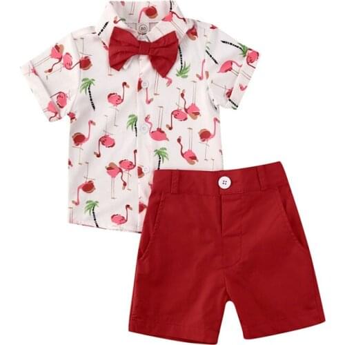 Summer Clothes Toddler Kids Baby Boy Animals Shirt Tops Shorts 2PCS Outfits