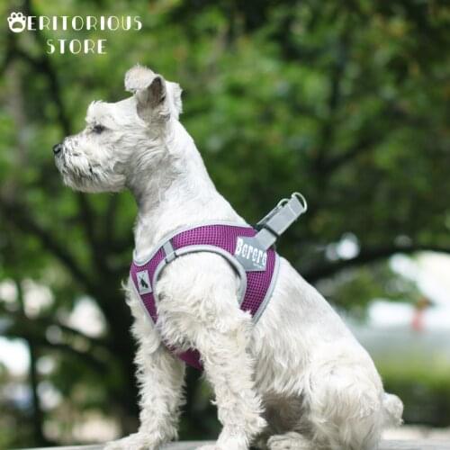 Dog Harness with Leash Summer Pet Adjustable Reflective Vest Walking Lead for Puppy Polyester Mesh Harness for Small Medium Dog