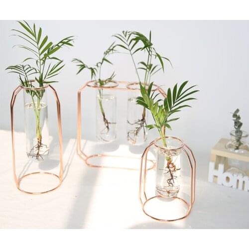 Iron Glass Vase Flower Vase Nordic Modern Minimalist Crafts Decor Living Room Decoration Tabletop Hydroponic Plant Flowerpot