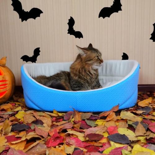 Первый питомец PetBeds China At AliExpress