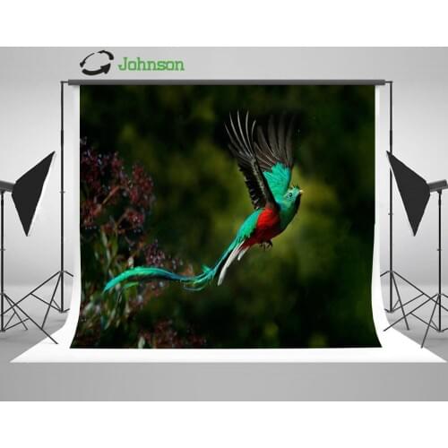 Pharomachrus Mocinno Savegre Costa Rica Forest Green Red Bird background polyester or Vinyl cloth Computer print wall backdrop