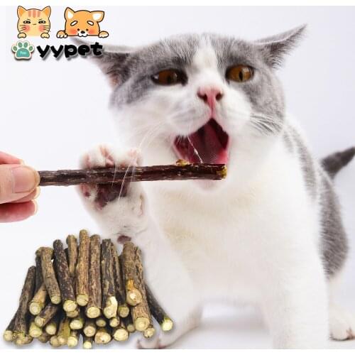 10pcs Pure Natural Catnip Pet Cat Toy Safety Molar Toothpaste Branch Cleaning Teeth Silvervine Pet Supplies Cat Snacks Sticks
