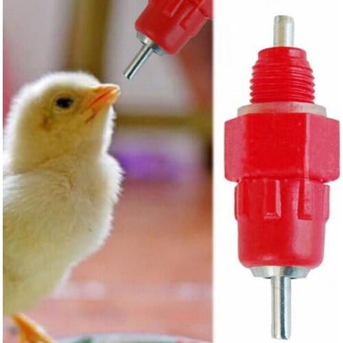 500 PCS Chicken nipple drinkers Red Ball nipple Chicken feeder Hanging drinking cup Chicken Equipment lin4558