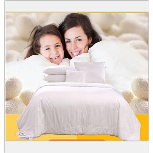 Autumn And Winter King Queen Full Twin 100% Mulberry Silk Blanket Comforter Quilt Fast Shipping
