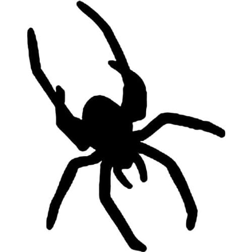 10.3*13.1CM Coolest Spider Web Decor Car Stickers Accessories High Quality Decals Vinyl C12-0987