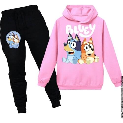 Disney Children Tracksuit Kids Clothing Sets Baby Girls Fashion Sports Suits Hoodies Sweatshirts+Pants 2 Pcs bingo bluey Clothes