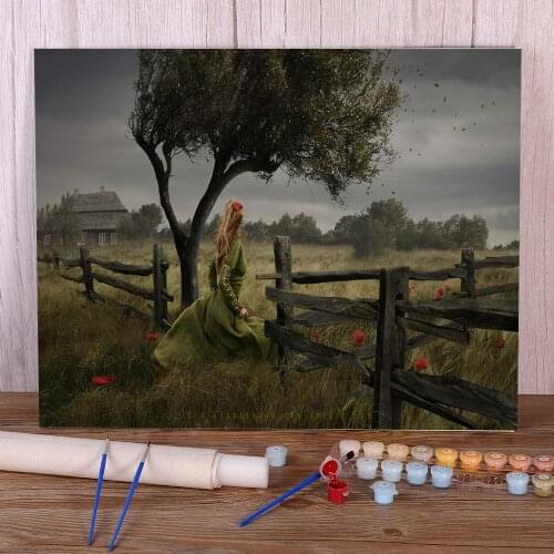 Woman Girl DIY Painting By Numbers Set Acrylic Paints 40*50 Painting On Canvas Handmade Adults Wall Art Drawing