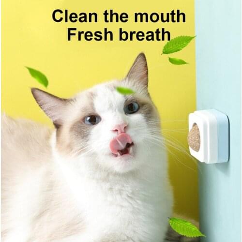 Cat Snacks Toys Ball Cat Molar Rotation Ball Cat Accessories High Quality Nutrition Mint Ball Cat Interactive Toy Pet Product