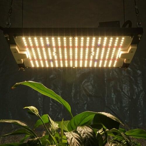 Kingbrite 120w hortibloom phytolamp, samsumg lm301h Epistar 660nm uv ir full spectrum led grow light