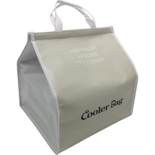 Eco friendly cooler bag cake pizza insulated container ice pack big thermal picnic lunch box food drinks insulation cool bag