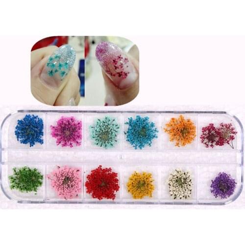12 Colors Natural Petal Dried Dry Flower Tips 3D Nail Art Bloem Wheel Decorations Nail Jewelry For UV Gel Beauty Manicure Tools