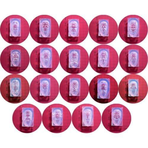19Pcs 3D Carving Buddha Head Nail Art Silicone Mold New Year Lucky Charm God of Wealth Sun WuKong Gel Resin Casting Mold