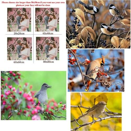 5D Diy Diamond Painting Animal Early Spring Magpie Square Diamond Round Diamond Full Diamond Cross Stitc Mosaic Home Decora