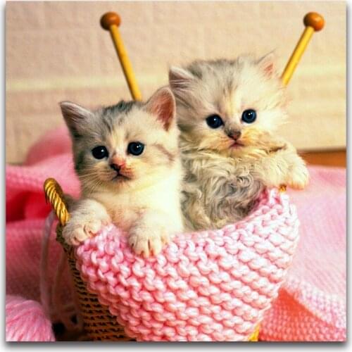 DUTEY Full Round Diamond Two Cute Cats mosaic 5d DIY Diamond painting kitten Full Square Diamond embroidery Cross stitch