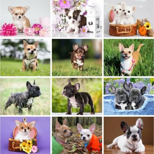 Huacan 5d Diamond Painting Kits Full Dog Embroidery Decorations For Home Mosaic Animal Handmade Gift