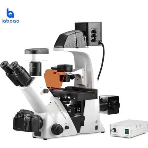 Optical Biological Inverted Fluorescence Microscope Used in Science Research