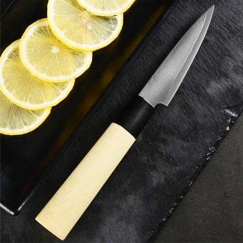3.5 Inch Damascus Fruit Paring Knife High Carbon VG10 Razor-Sharp Blade Peeling Knife Vegetable Fruit Slicing Cutter PP Handle