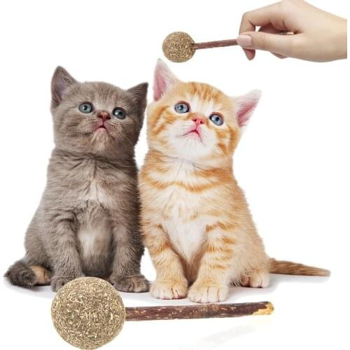 Interactive Funny Ball Play Teeth Cleaning Snack Stick Catnip ball lollipop Cat Toy Pussy Snacks Wood