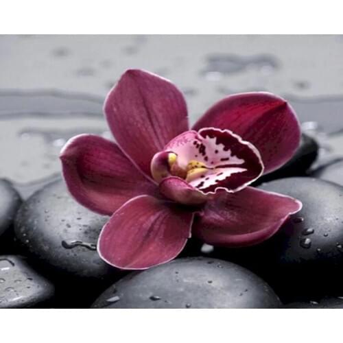 Painting By Numbers Stone Flower Landscape Diy Paint By Number On Canvas Acrylic Painted For Kids Adults Gift Modern Home Decor