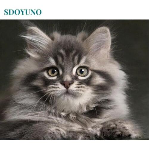 SDOYUNO Frame Cat Animal Diy Painting By Numbers Modern Wall Art Drawing By Number Painting Calligraphy For Home Decor 40x50cm