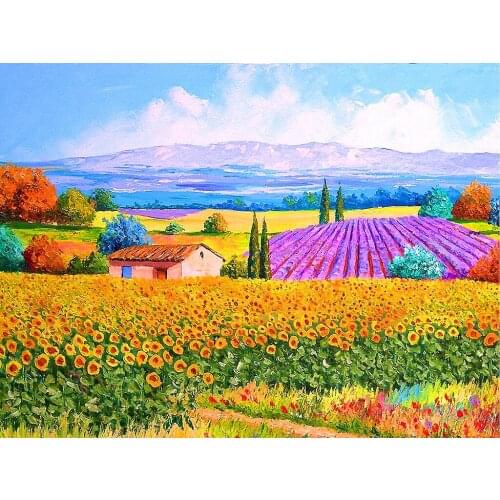 NEW Counted Cross Stitch Kits Needlework Embroidery - 14 ct Aida DMC Color DIY Arts Home Decor - Field