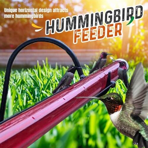 Plastics Bird Water Feeder Bottle Hanging Hummingbird Feeder Garden Outdoor Plastic Flower Iron Hook Pet Bird Supplies