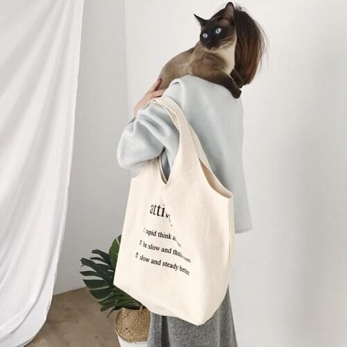 2021 New Style Messenger Bag Female Canvas Ins Cute Large Capacity Student Cloth School Bag Female Messenger Shopping Bag