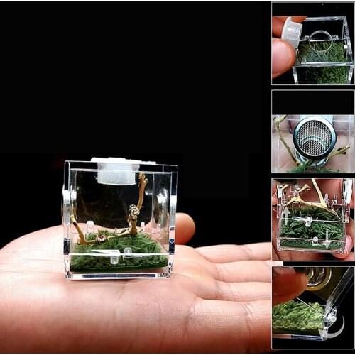 Small Spider Ant Farm Insect Breathable Terrarium Transparent Reptile Breeding Box Acrylic Assembled Eco Box
