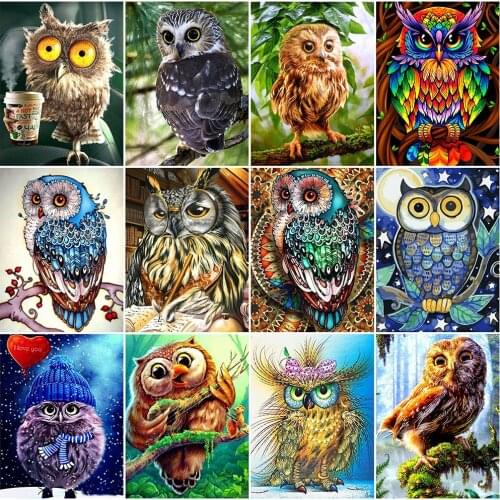 EverShine Diamond Mosaic Full Square Owl Rhinestones Art Animal Diamond Painting Cartoon Cross Stitch Decoration For Home