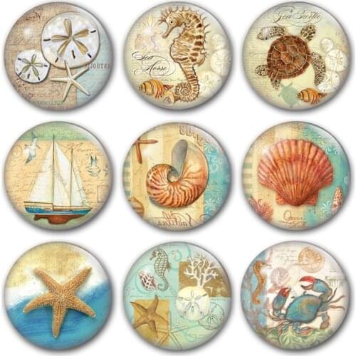 Ocean life glass cabochon, starfish seashell hippocampus turtle Round photo glass cabochon demo flat back Making findings