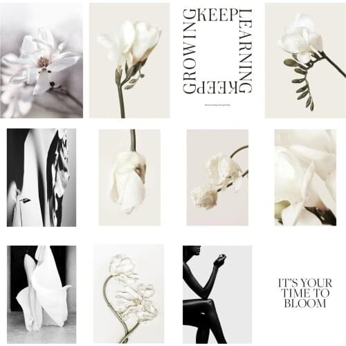 Black And White Art Painting Nordic Modern Minimalist Plants Flowers Characters Poster Living Room Sofa Background Decoration