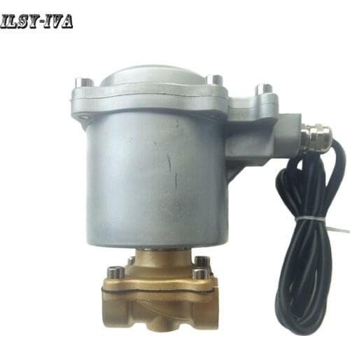 DC12V/24V Explosion proof type stainless steel electromagnetic valve for micro methane combustion machine
