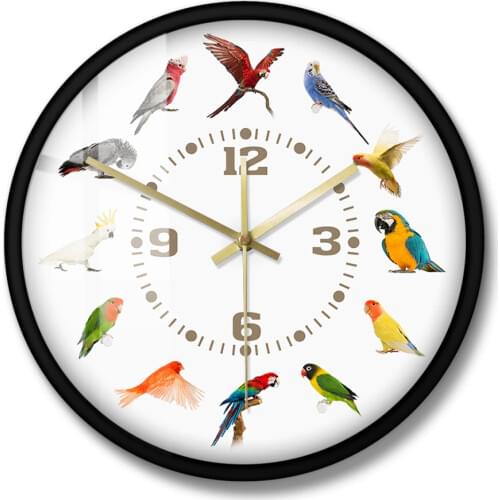 Non Ticking Wall Watch Birds Breeds Collection Modern Wall Clock Parrot Bird Pet Species Exotic Wall Art Bird Lovers Home Decor