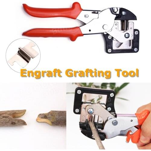 Carbon Steel Seedlings Engraft Grafting Garden Tools Nursery Fruit Tree Grafting