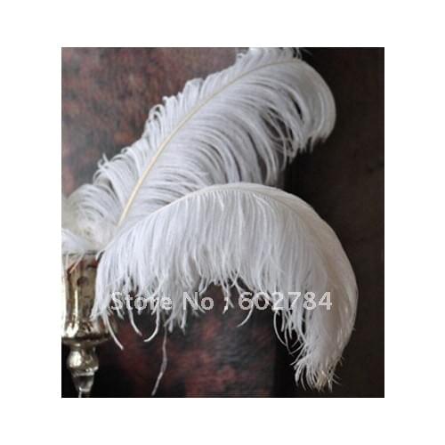 EMS Free shipping 100pcs/ lot 26-28inch 65-70cm white ostrich feather wholesale