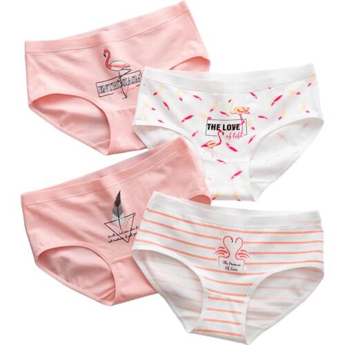 Sexy Panties Women Girls Underwear Plus Size Cotton Briefs Seamless Cueca Calcinhas Sexy Lingeries Shorts Underpant Boxer Ladies