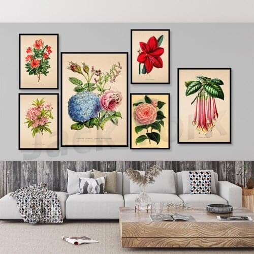 Vintage Anthurium Maximiliani Print, Antique Botanical Posters, Flower Prints, Home Decor, Wall Art, Green Leaf