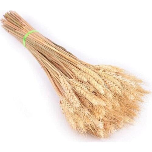 Dry flower Natural Spike Ear Of Wheat 1. Quality Quick-frozen decoration artificial flower искусственный цветок