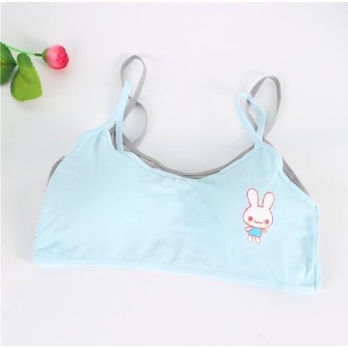 6pcs New Styles young girls training bras summer Teens Puberty Clothing Cotton Teenage underwear for kids