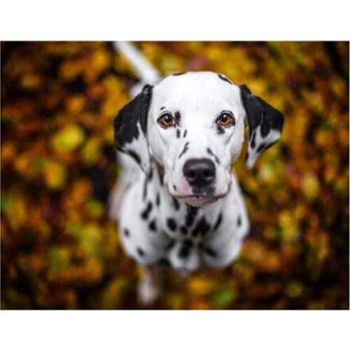 Full Square Round 5D DIY Animal Dalmatian Dog Diamond Painting Embroidery Crystal Cross Stitch Wall Sticker Home Decor XN1049