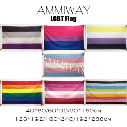 AMMIWAY Asexual Bisexual Non Binary NB Trans Transgender Lesbian Gay Queer Pride Rainbow LGBT Custom Single Double Sided Flags
