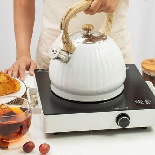 Kesoto Kitchen Induction Kettles China