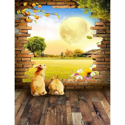 TR 220Cm*150Cm Newborn Children Photography Props Backdrops Fundo Rabbit Moon Fruit 3D Baby Photography Backdrops Backgrounds