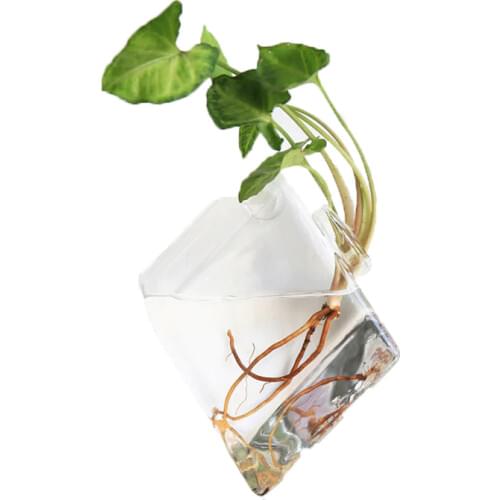 Foam Box Packing Aquarium Tank Fish Bowl Decoration Wall Hanging Aquatic Pet Supplies For Flower Arrangement Horticulture Fish