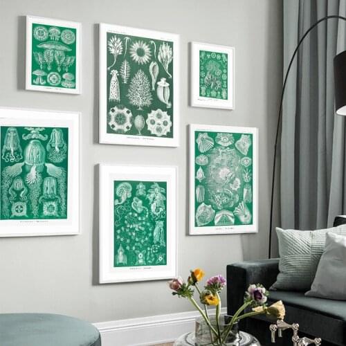 Green Marine Elements Jellyfish Seahorse Starfish Plant Living Room Decoration Painting Canvas Poster Painting Wall Art Home