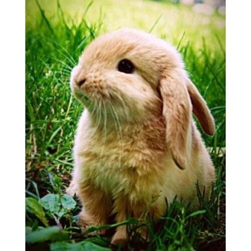 5D DIY Full Drill Animals Cute Rabbit Mosaic Picture Embroidery Pictures Of Rhinestones Diamond Painting Decor Home FH704