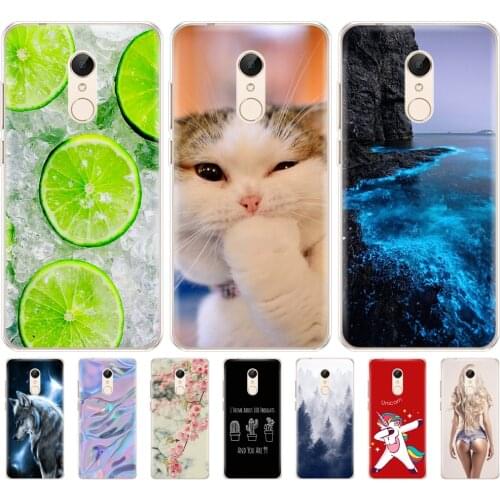Silicone phone Case For Xiaomi Redmi 5 5.7 inch Xiaomi Redmi 5 Plus 5.99 Inch Case for hongmi Redmi 5 plus fation phone shell