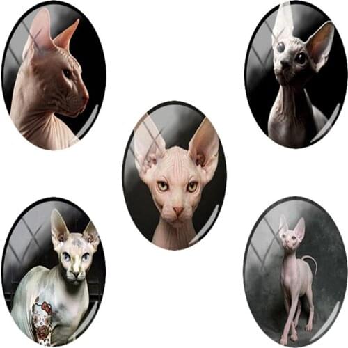TAFREE Fashion Sphinx Cat 18x25 mm Oval Glass With No Hair Pet Flat Back Jewelry Animal Findings For Processing technology CA171
